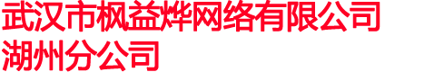 武汉市枫益烨网络有限公司湖州分公司
